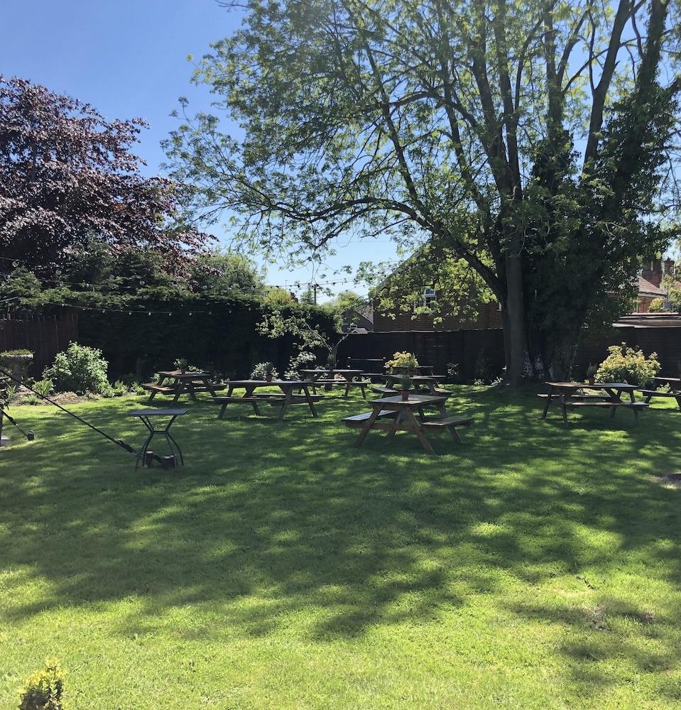 The Honingham Buck Bed and Breakfast Exteriör bild